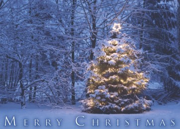 Christmas Card - Merry Christmas (Snow & Tree) (25 per set) Spread the Word TM