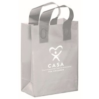 Colored Frosted Gift Bag (Pack of 5)