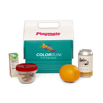IGLOO RETRO PLAYMATE 4 QUART MINI COOLER (Jade)