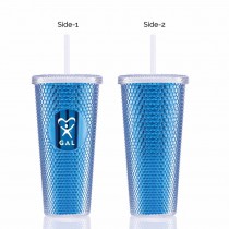 24 oz Bux Tumbler with Metallic Insert