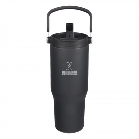 Carnival Recycled 30oz Tumbler